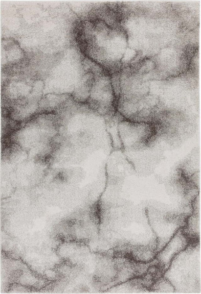 Šedý koberec 160x230 cm Dream – Asiatic Carpets