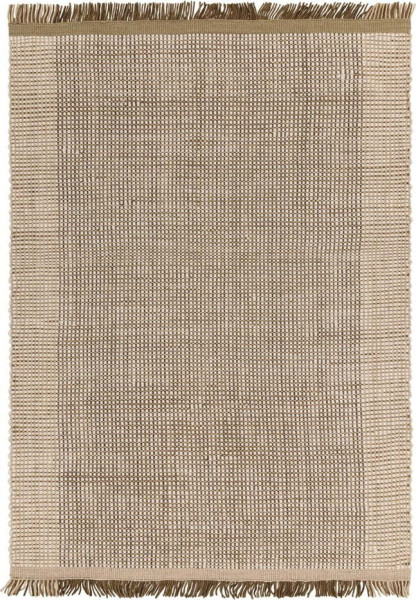 Světle hnědý ručně tkaný vlněný koberec 200x290 cm Avalon – Asiatic Carpets