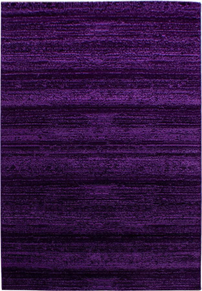 Tmavě fialový koberec 160x230 cm Plus – Ayyildiz Carpets